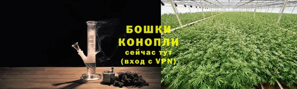 ПСИЛОЦИБИНОВЫЕ ГРИБЫ Алексеевка