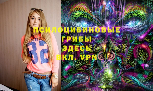 крисы Алексин