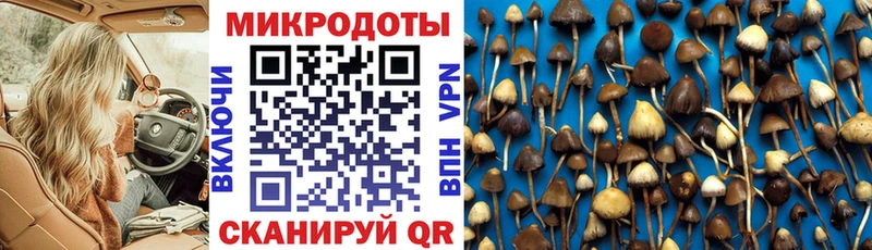 как найти наркотики  Ардон  Псилоцибиновые грибы GOLDEN TEACHER 